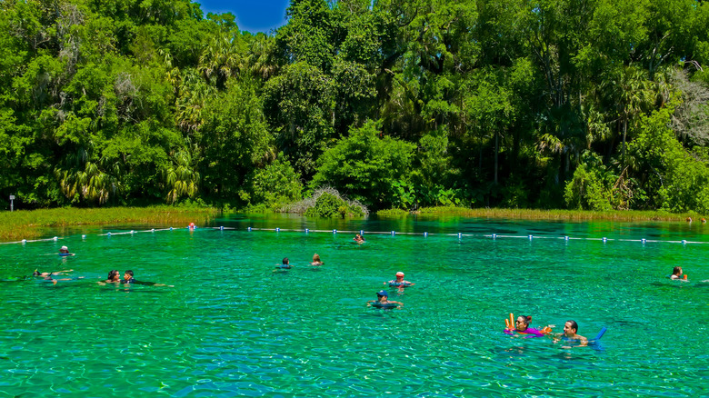 People swimming in Rainbow Springs State Park