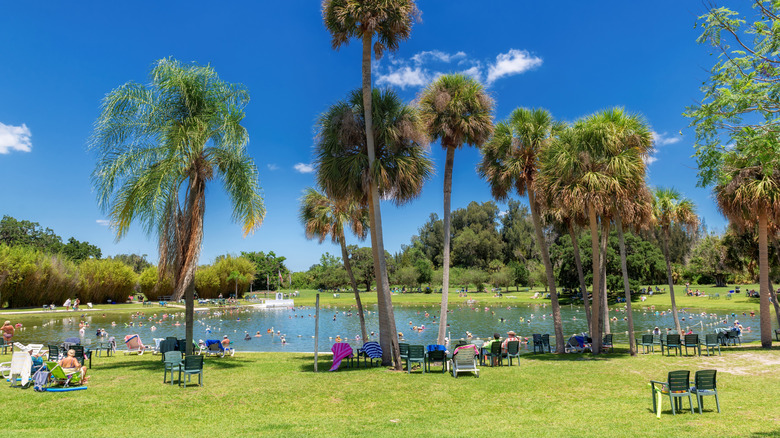 A sunny day at Warm Mineral Springs Memorial Park in Florida
