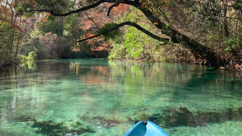 Cannoing at Weeki Wachee Springs State Park