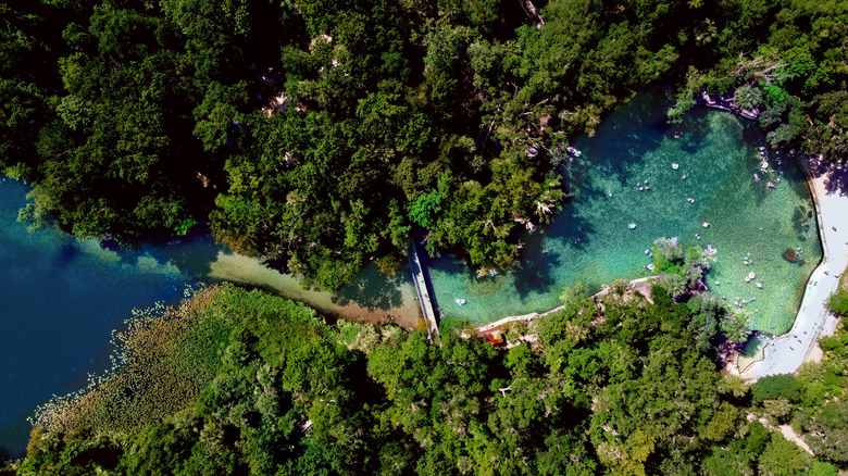 Aerial view of Wekiwa Springs State Park