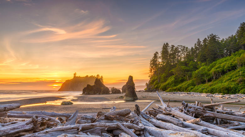beach on washington coast
