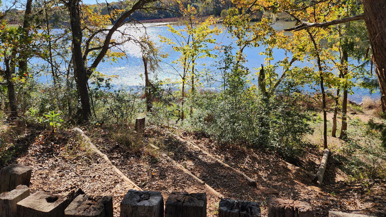 Buescher State Park lake through trees with hiking trail in foreground