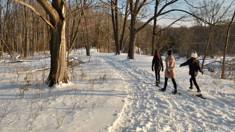 three people snowshoeing at the Riveredge Nature Center