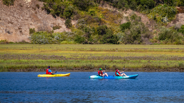 Kayaking in Upper Newport Bay.
