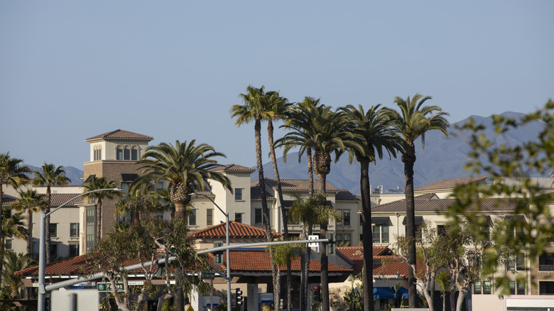 Palm trees and beige buildings with orange spanish tile roofs and mountains behind them