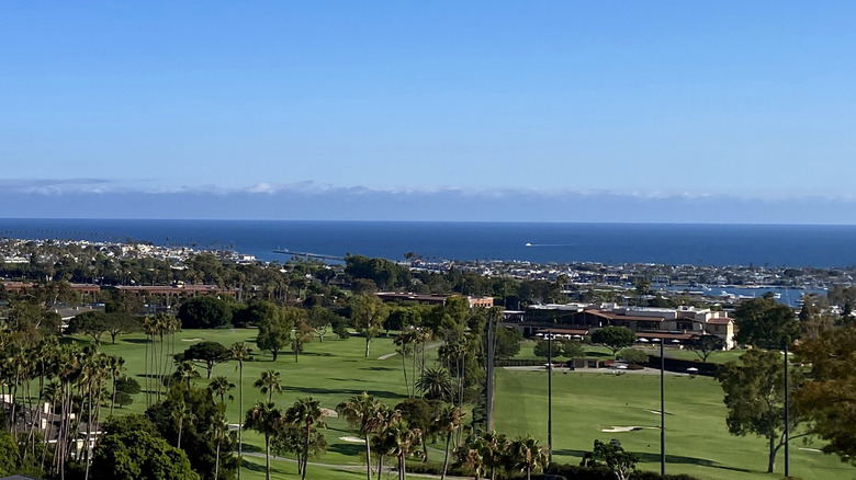 Landscape of Newport Beach, California, showing palm trees, a golf course, buildings, and the coast.