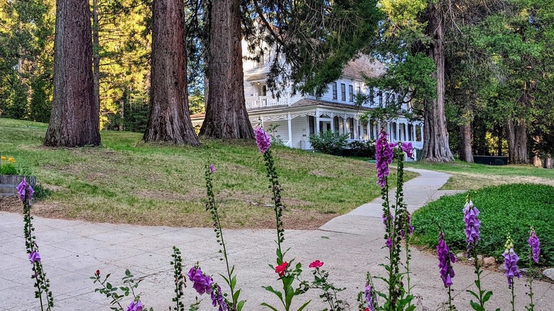 flowers, quaint hotel building, and trees in Wawona, California
