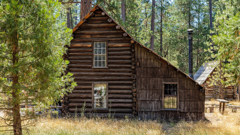 historic cabin in Wawona, California