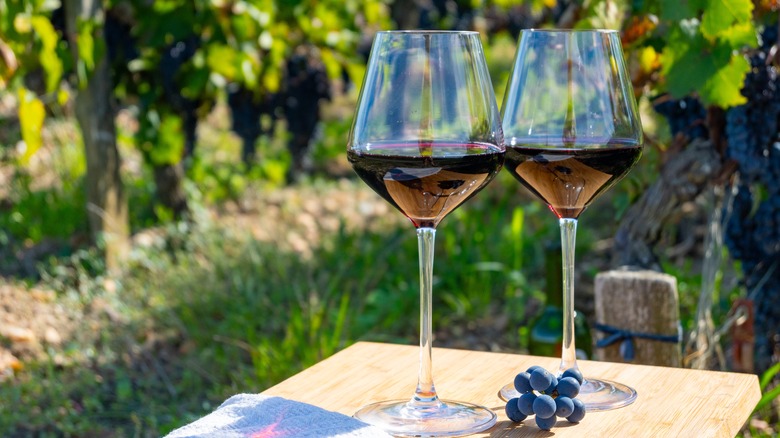 Two red wine glasses on a table in a vineyard