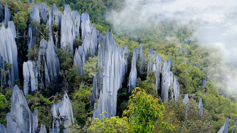 Pinacles rock formation borneo