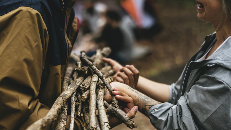 campers collecting fire making materials