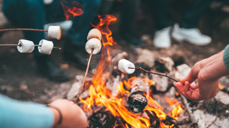 group roasting marshmallows over a campfire