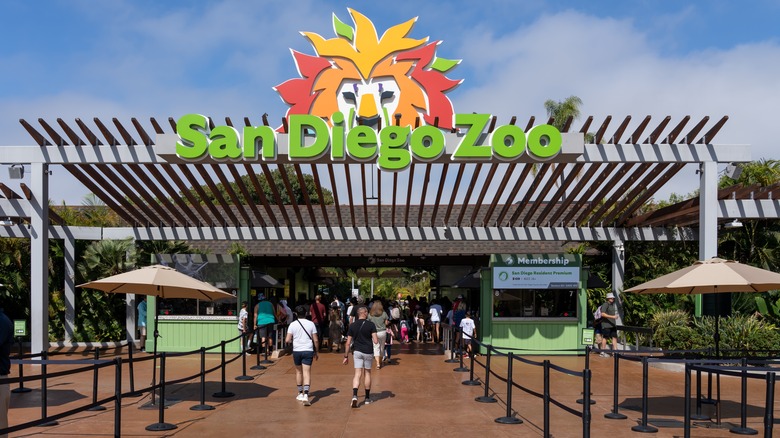 san diego zoo entrance