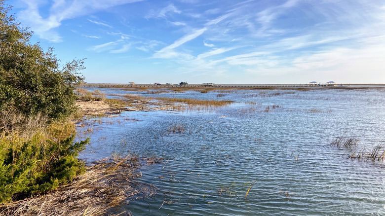 Marshes and blue skies on Bulls Island