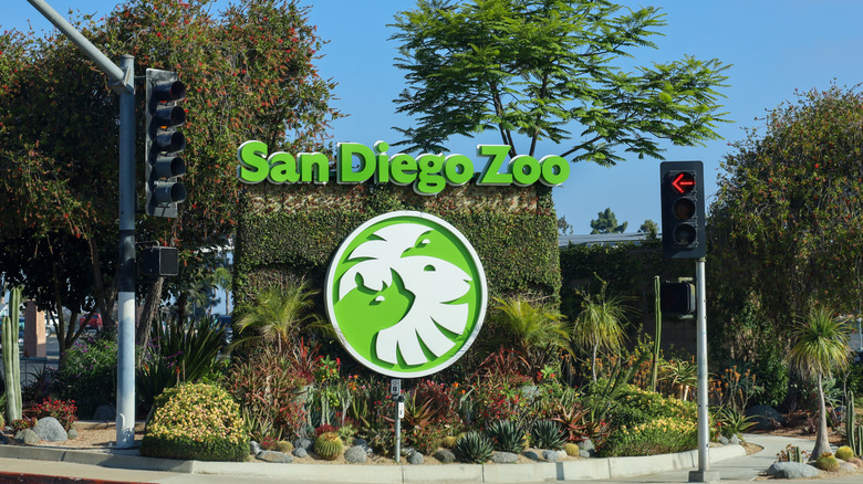 San Diego Zoo sign traffic lights