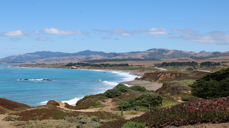 California Central Coast beach landscape near Cambria between San Luis Obispo and Big Sur
