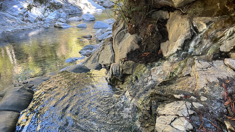 creekside hot springs at Sykes Hot Springs