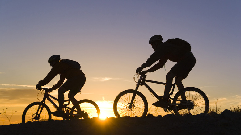 Silhouetted mountain bikers pedal past a sunset