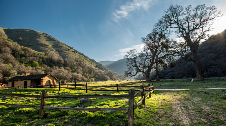 Old oak trees and a historic building with hilly background at Fort Tejon State Park