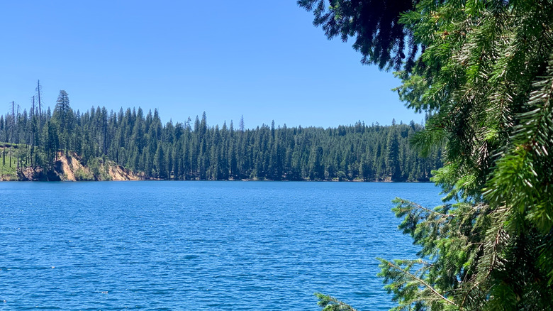 View of Stumpy Meadows Reservoir and forest