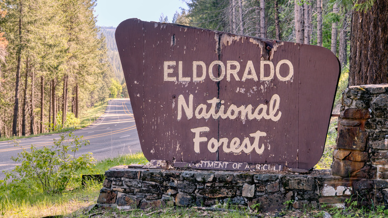 Eldorado National Forest sign next to road and trees