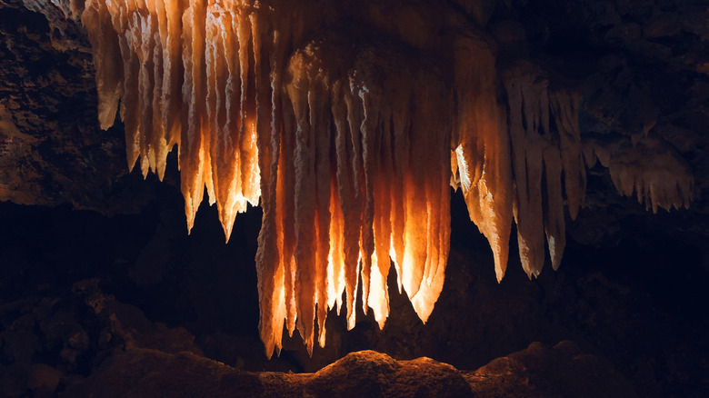 A backlit cave formation hanging from the ceiling of Black Chasm Cavern