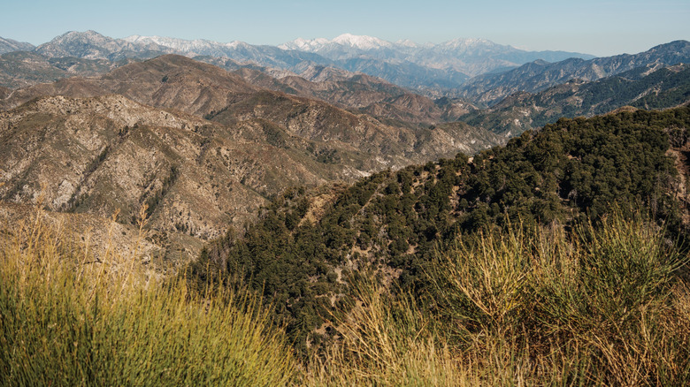 View of snowy mountains from Mount Wilson, California