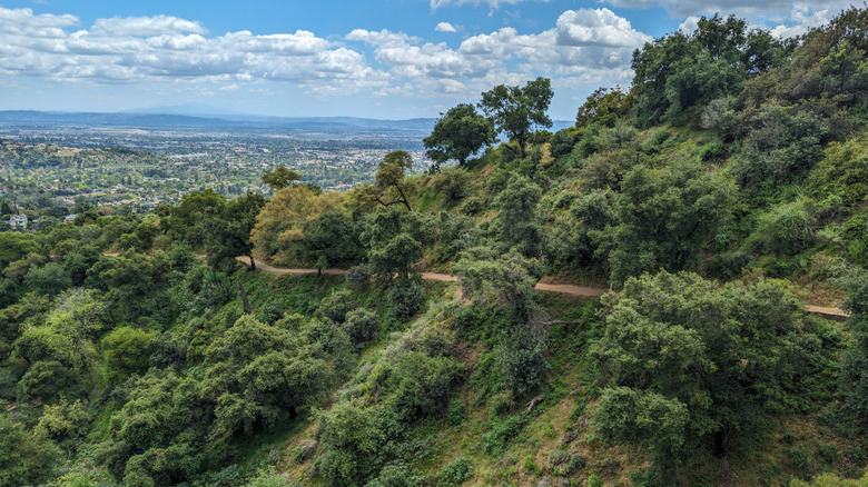 The Mount Wilson trail view at Sierra Madre, California