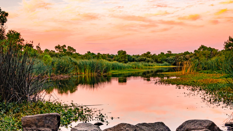 sunrise over Kumeyaay Lake, with greenery and boulders, near Mission Trails Regional Park