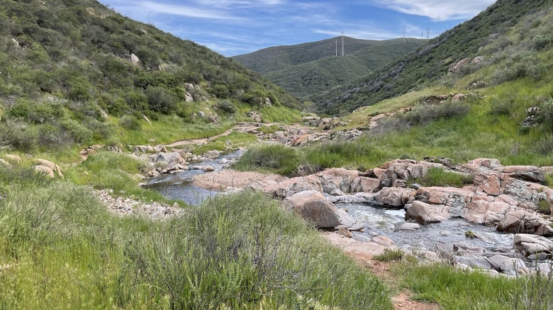 trail winding next to creek in green, brushy hills of Mission Trails Regional Park