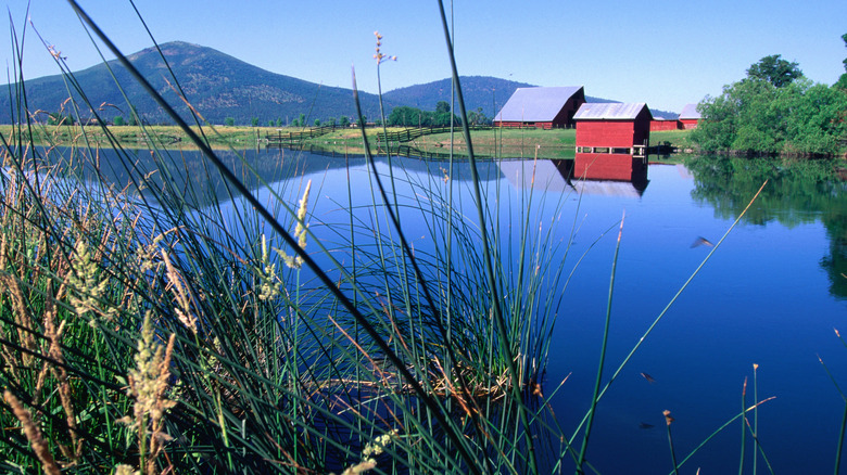 A red barn as seen from Ahjumawa Lava Springs State Park, California