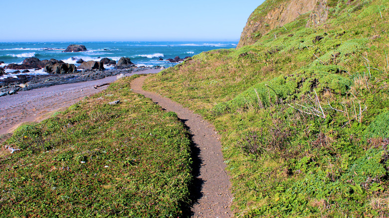 The Lost Coast Trail in the Lost Coast, CA