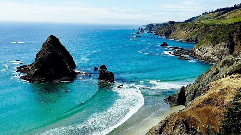 Coastal landscape of Navarro Beach in California