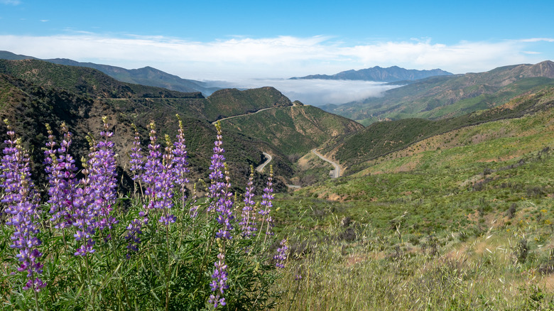 View of Ojai