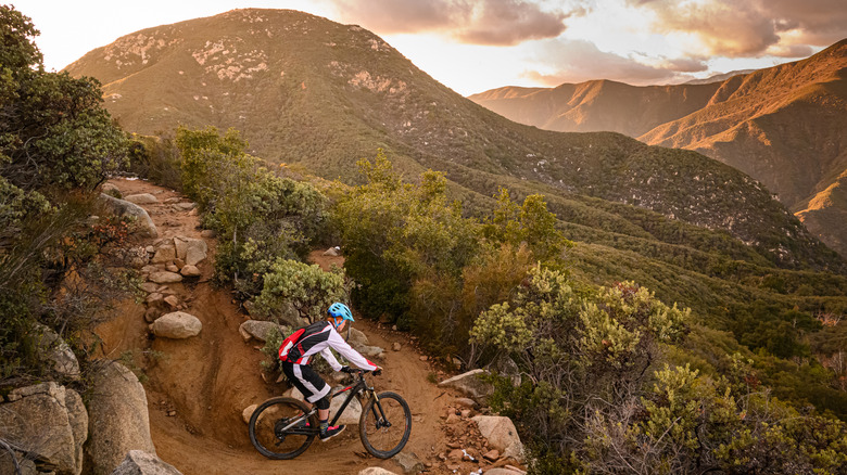 a mountain biker riding down a winding trail in the mountains of Southern California
