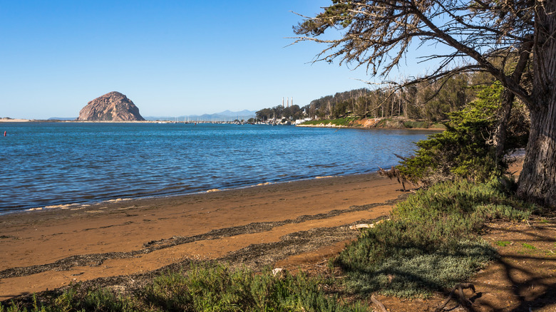 Morro Bay State Park beach landscape in California
