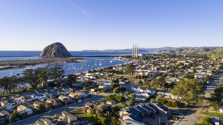 Landscape of community around Morro Bay State Park