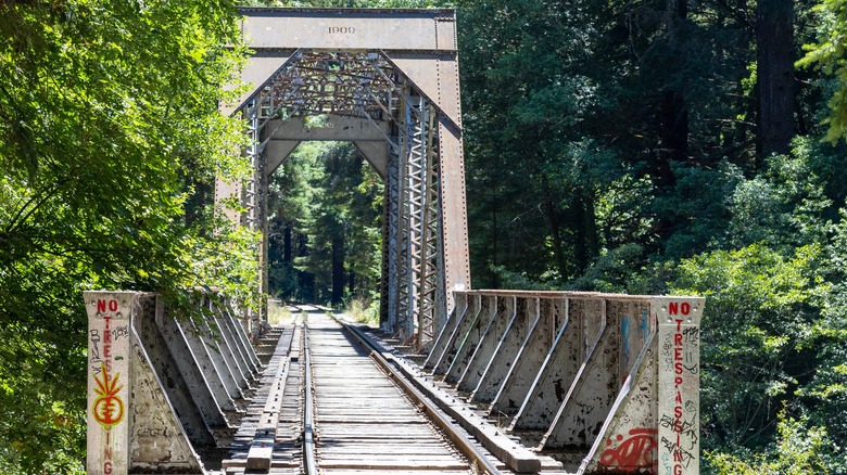 view of railway tracks entering forest over an iron bridge
