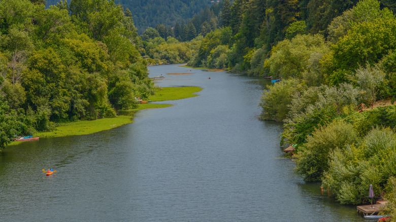 Beautiful russian river flowing in Guerneville, California