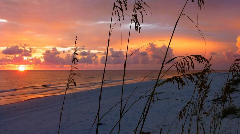 Sunset St. Joseph Peninsula