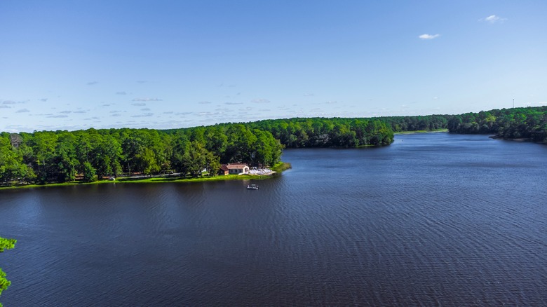 Raven Lake in Huntsville State Park, Texas, as seen from above