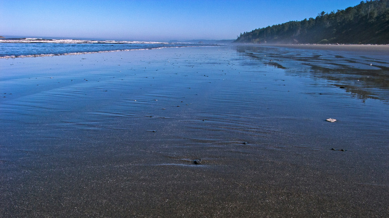 The beach by Kalaloch Campground