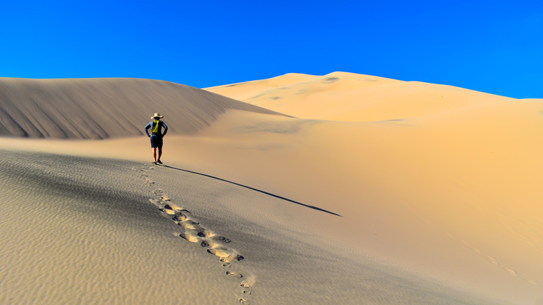 A hiker traverses the Kelso Dunes