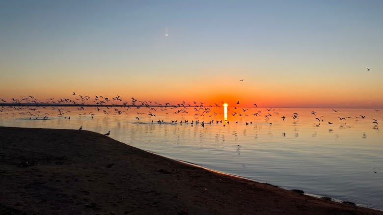 Sylvan Beach sunset