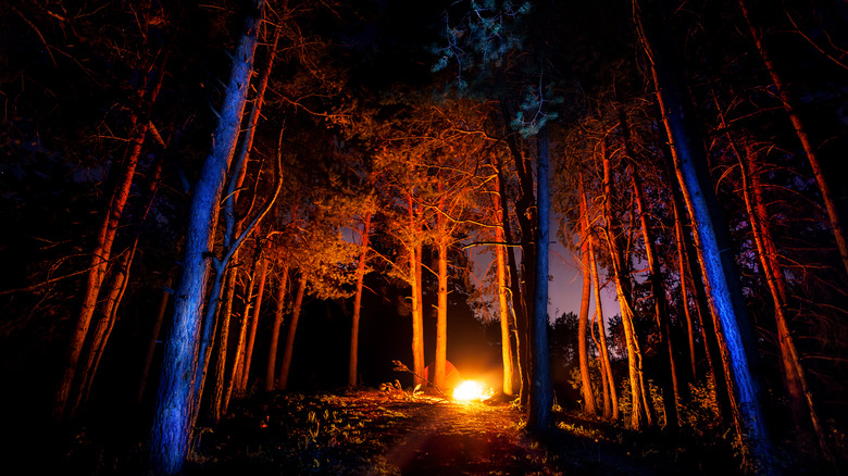 A campsite among trees in the dark lit up by a firepit
