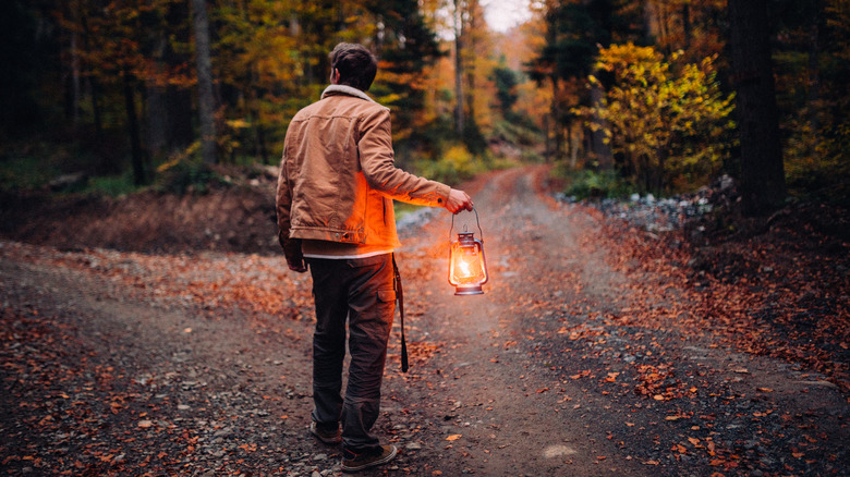 A man holding a lantern looking down a path while out in the forest