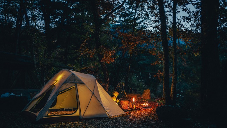 A campsite at dusk among trees with a campfire