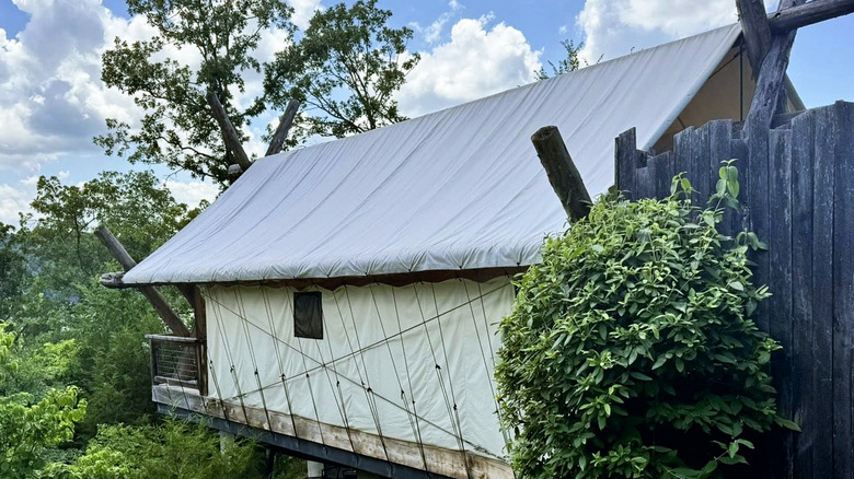 A Camp Long Creek canvas tent surrounded by trees in Missouri