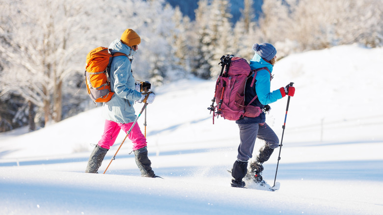 women with backpacks hiking in snow, white trees in the background