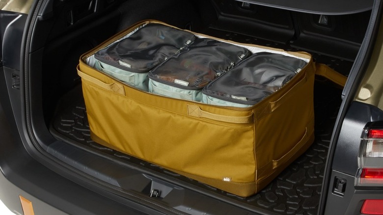 An REI Trailgate storage bin filled with cubes in a car trunk.